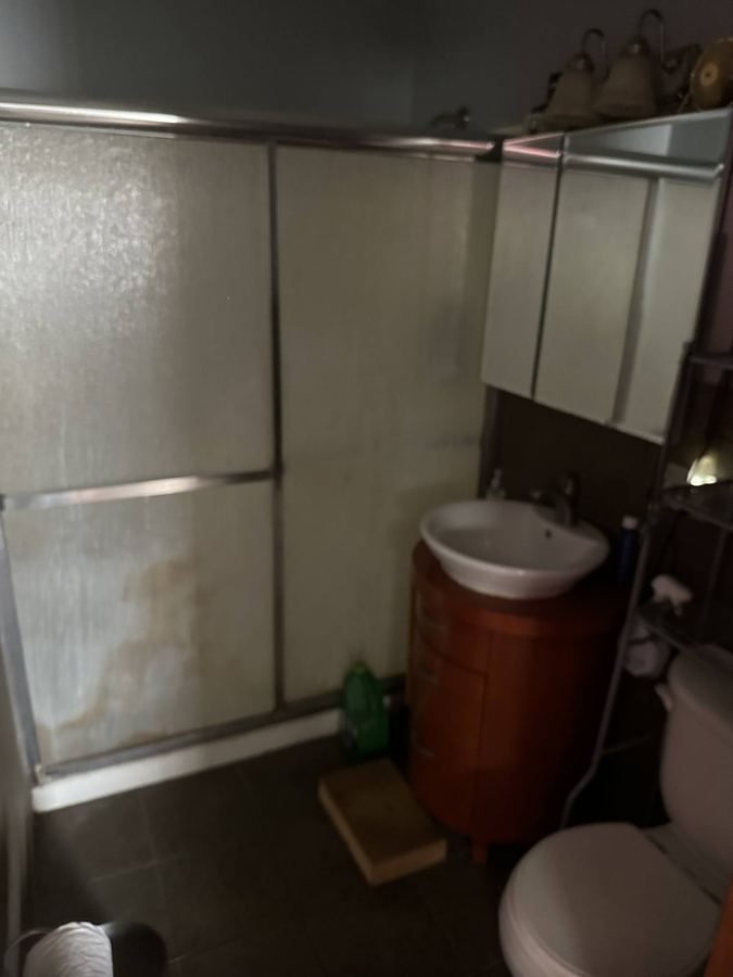Bathroom before rehab, Hazel Park